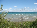 Western Michigan [2010] 541